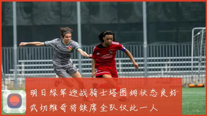 明日绿军迎战骑士塔图姆状态良好武切维奇将缺席全队仅此一人